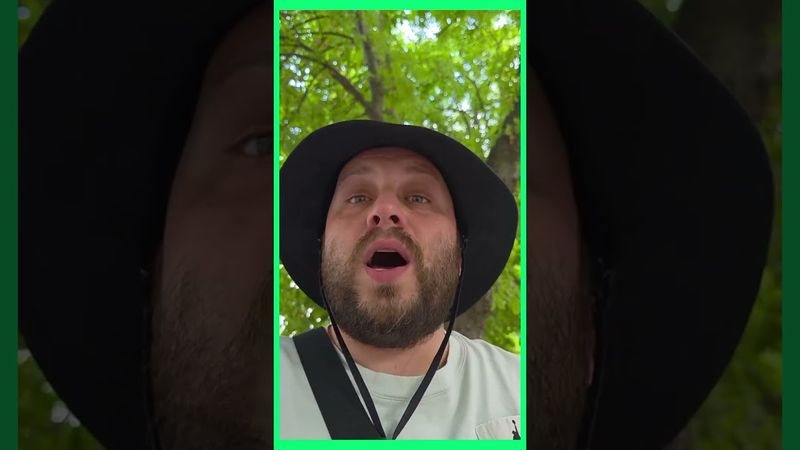 Улыбнитесь...ещё и требования?....