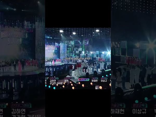 SKZ always so evident😭 #straykids #SKZ #meme #kpopfypシ #lovestay #love