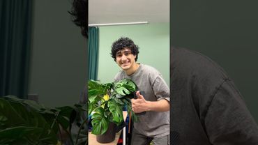 Фотосессия мамы