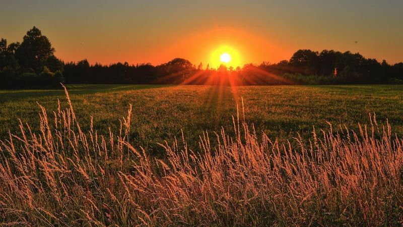 Nature Video 30 Seconds|WhatsApp Status Video|Nature Background Videos