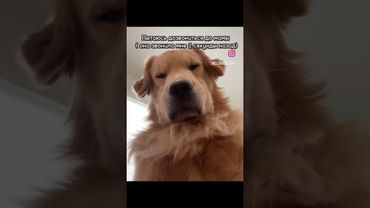 было? #рекомендации #рек #мем