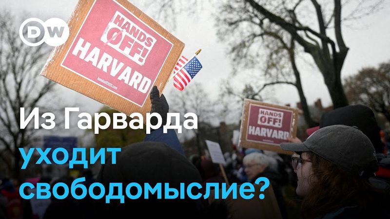 Боятся ли студенты Гарварда Дональда Трампа?