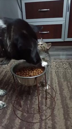 Главное  дружба у нас. 