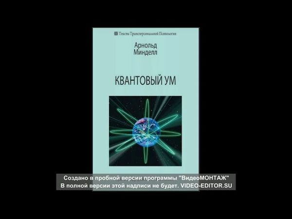Квантовый ум. А. Минделл. часть1.