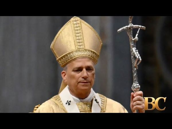 Pope Leo XIV appeals for unity within the Catholic Church