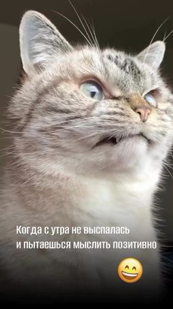 TikTok video #7486721576923090182