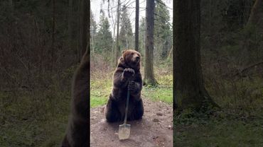 Не хочет копать🪏