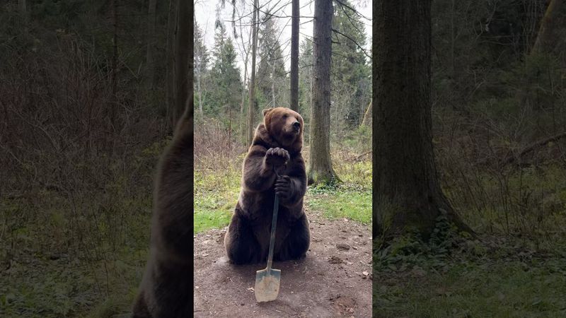 Не хочет копать🪏