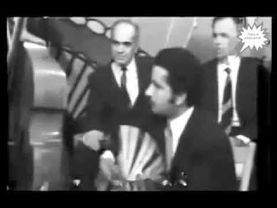 هيام يونس  يا يمامة روحي