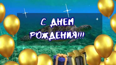 🌹🎶С Днем Рождения! 💙Музыкальное поздравление!🎂🥂🍾