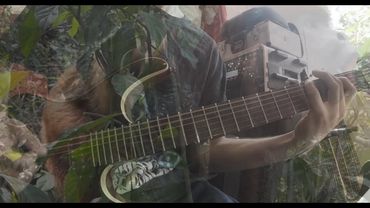 Slamming Death Metal Monkey