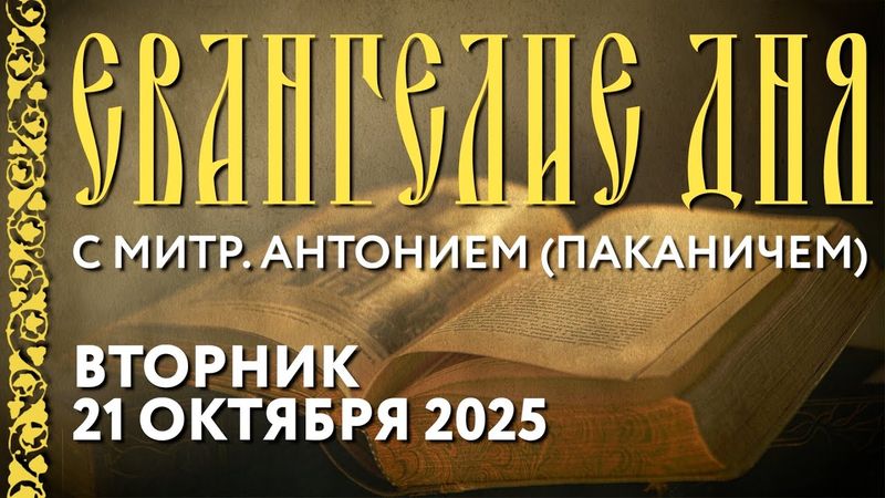 Толкование Евангелия с митр. Антонием (Паканичем). Вторник, 21 октября 2025 года.