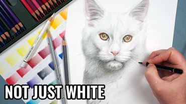 How to Draw White Fur with Colored Pencils (Step by Step Tutorial)