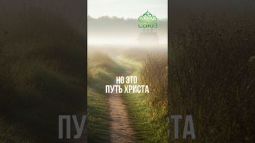 Совет дня: молись за обидчиков