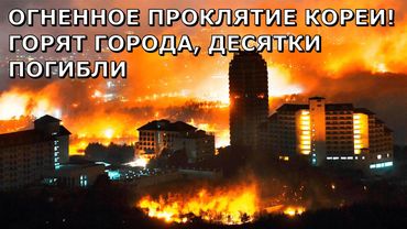 Южная Корея сгорает в ОГНЕ! Эвакуация целого города