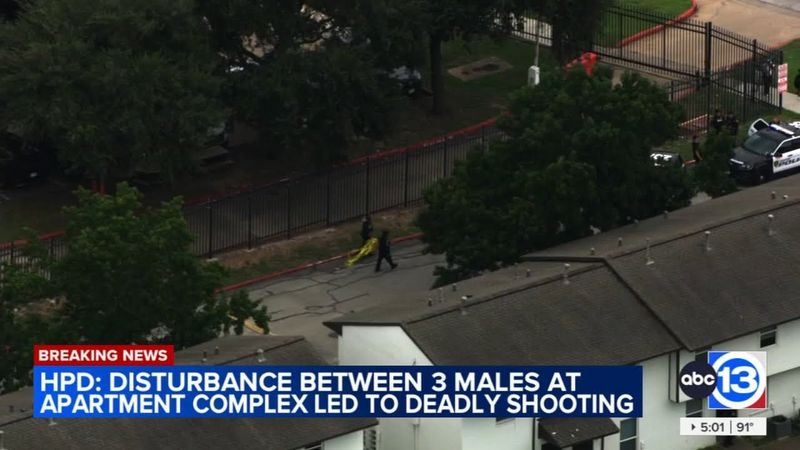 Disturbance between 3 people at apartment complex leads to deadly shooting: HPD