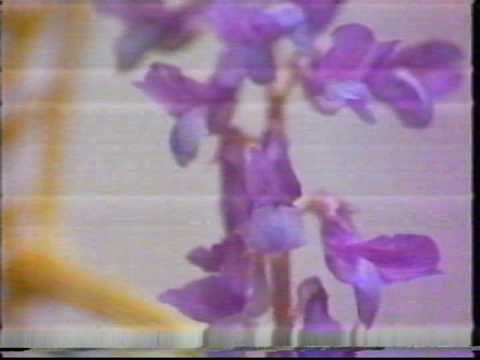 1985 TVE CORTINILLA (no incluida en vídeo Cortinll. 1985)