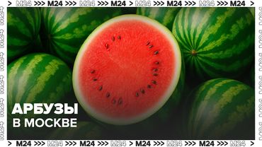 Арбузы начали продавать в Москве до начала сезона — Москва 24