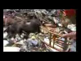 День народження Наташі***