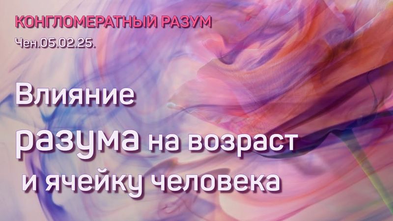 Конгломератный Разум. Чен 05.02.25. Влияние Разума на возраст и ячейку человека.