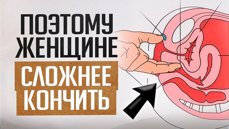 Мужской и женский оргазм – ВСЕ отличия в 1 видео простыми словами