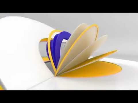 Заставка СТС ПРЕДСТАВЛЯЕТ (2015-2017)