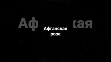 Афганская роза: как стеклянный стакан делает гранату в 10 раз опаснее #army #shorts