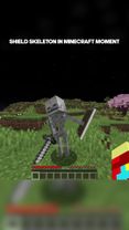 SHIELD SKELETON MEME in Minecraft moment #minecraft #minecraftmemes #...