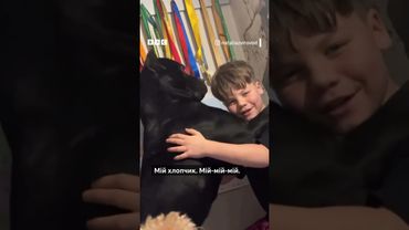 Максим і Оскар: момент безумовної любові дитини до собаки #shorts #собаки #діти #милота