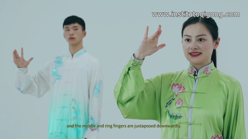 health qigong wuqinxi lección 6