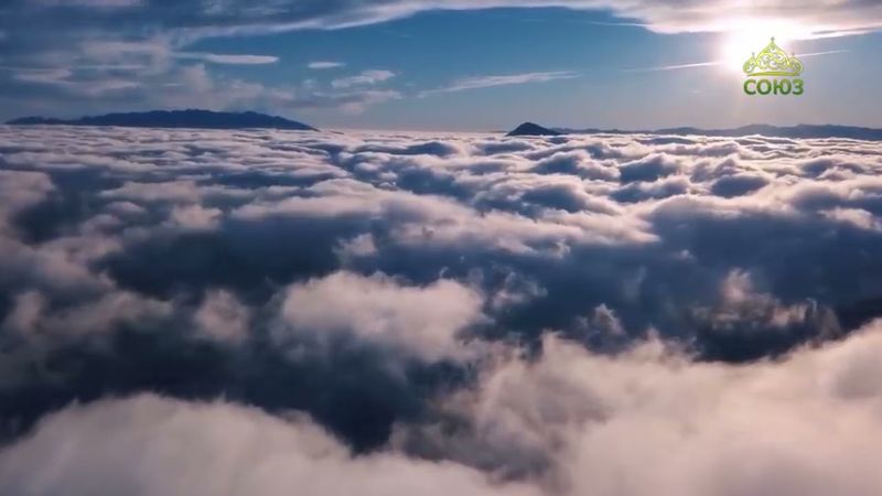 Стихи над миром. Стихотворения Зинаиды Миркиной