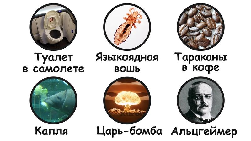 Тревожные научные факты