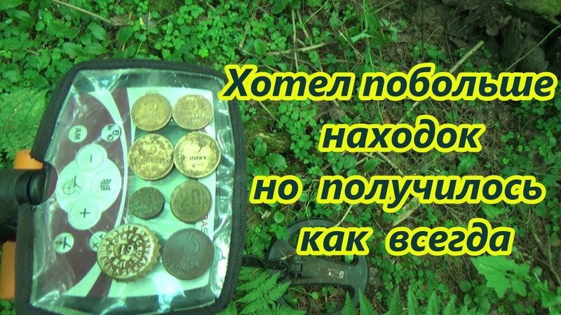 С разведкой в лес между двух старых деревень