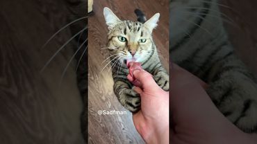 Майские - не только шашлыки) Смотреть со звуком