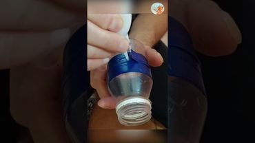 Уникальная снасть на толстолобика без технопланктона  #short #shorts #fishing #рыбалка