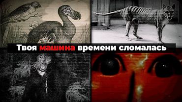 Айсберг ВЫМЕРШИХ животных