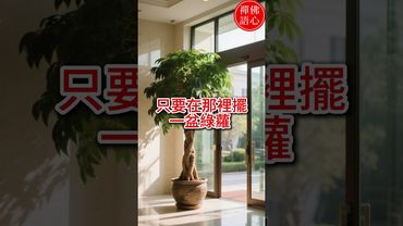 【把這盆放對地方，你會越來越有錢】想要旺財 不妨從這個小動作開始做起。#招財小技巧 #風水佈局 #財位擺設 #居家開運 #發財樹 #金錢樹 #東南角招財