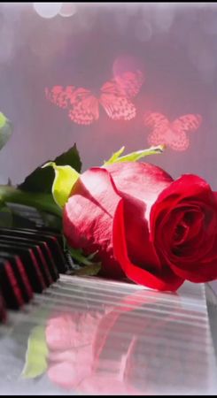 #поздравления #сднемрождениясестра