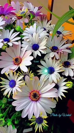 #доброеутродрузья #прекрасногодня🌸🌺🌼 #хорошегонастроения