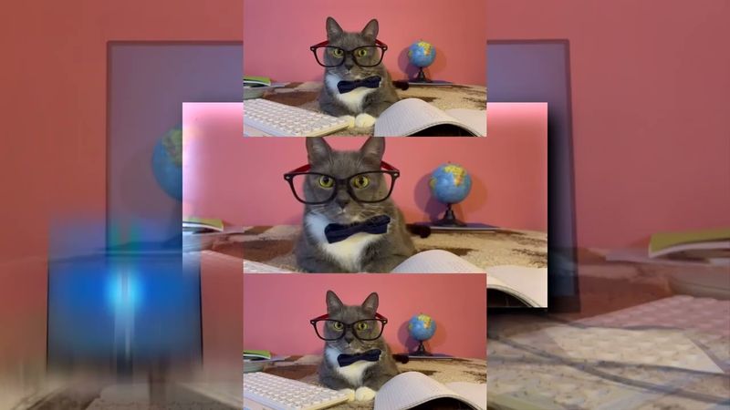 запрос от @Serega4617a4: PLPMV КОТИКИ vs НЕЙРОСЕТЬ Scan