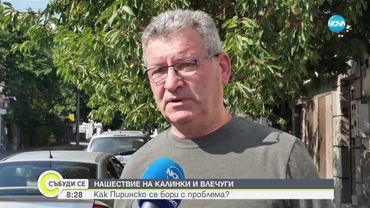 Нашествие на калинки и змии у нас: Как да действаме, ако имаме досег с тях