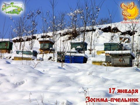 Братья месяцы   17-е января   Зосима-пчельник