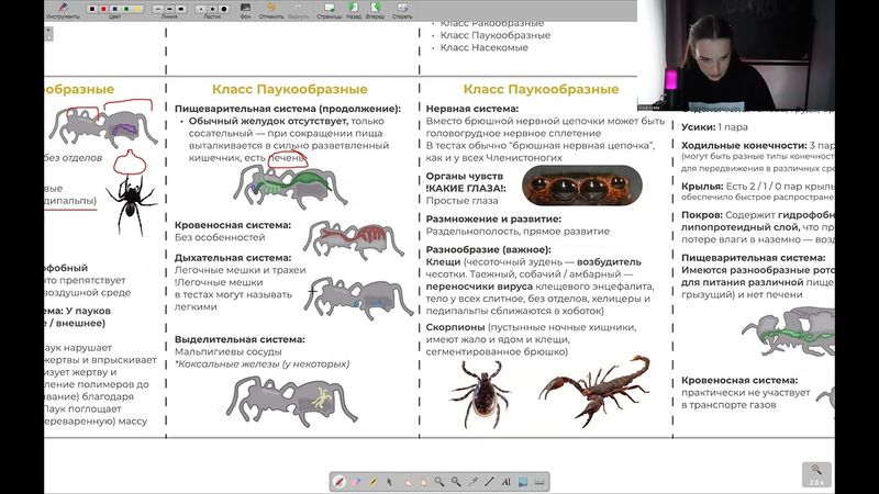Реанимация. День 13 | тгк: biowithbear