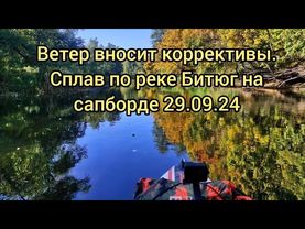 Ветер вносит коррективы. По осенней реке на сапборде 29.09.24 #сапборд #sup #supboard #nature