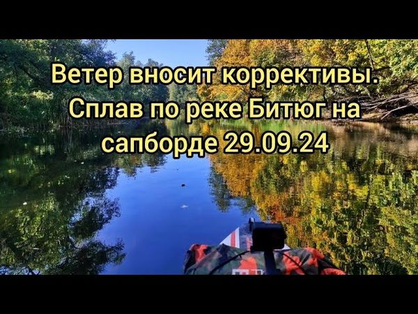 Ветер вносит коррективы. По осенней реке на сапборде 29.09.24 #сапборд #sup #supboard #nature