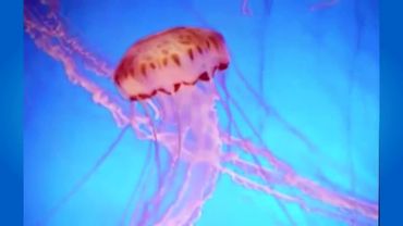 сытин оздоровление после инсульта