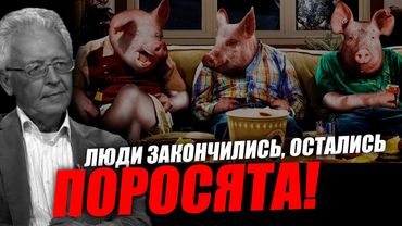 Это манипуляции, отвлекающие людей от серьёзных вещей! Валентин Катасонов