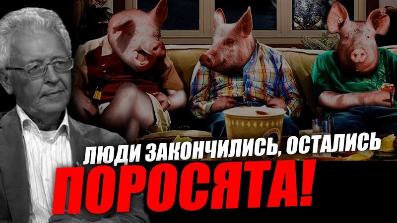Это манипуляции, отвлекающие людей от серьёзных вещей! Валентин Катасонов