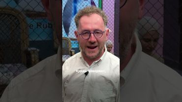 ванская кошка на перепутье народов