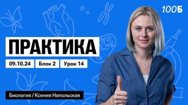 Практика | Биофак 2025 | Урок 14